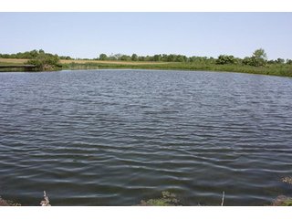Property photo 34 - LAND AUCTION - 389.5+/- ACRES IN 11 TRACTS IN SULLIVAN COUNTY, INDIANA